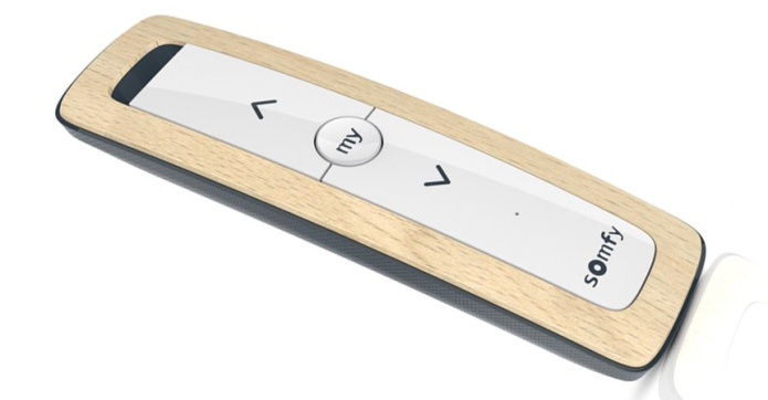 Pilot Somfy 1870407 Situo 2 RTS Natural